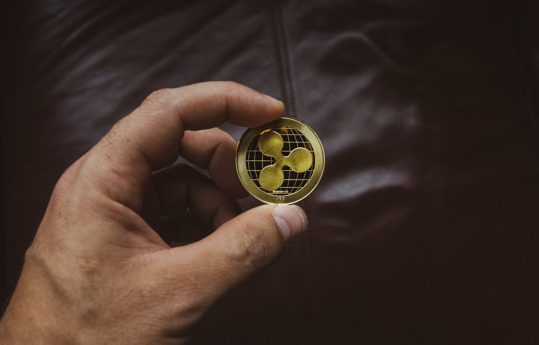 person holding round gold colored coin